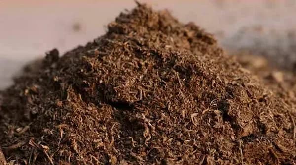 خرید کود میکرو میکس زاگرس + قیمت فروش استثنایی